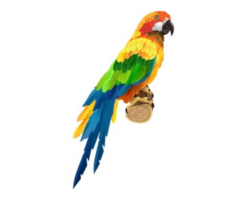 Renkli Papağan