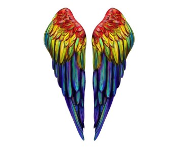 Melek Kanadı Temalı Tekstil Baskı Filmi