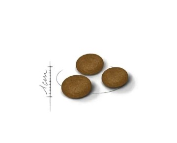 Royal Canin Fussy Exigent Seçici Yetişkin Kedi Maması 2 Kg