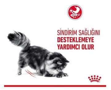 Royal Canin Fussy Exigent Seçici Yetişkin Kedi Maması 10 Kg