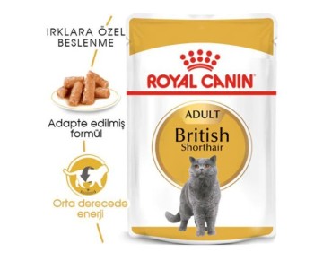 Royal Canin British Shorthair Adult Pouch Konserve Kedi Maması 85 Gr