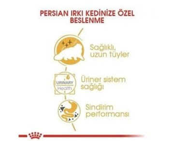 Royal Canin Persian Adult İran Kedisi Pouch Konserve Kedi Maması 85 Gr