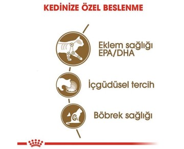 Royal Canin Ageing +12 Gravy Pouch Yaşlı Kedi Konserve Maması 85 Gr